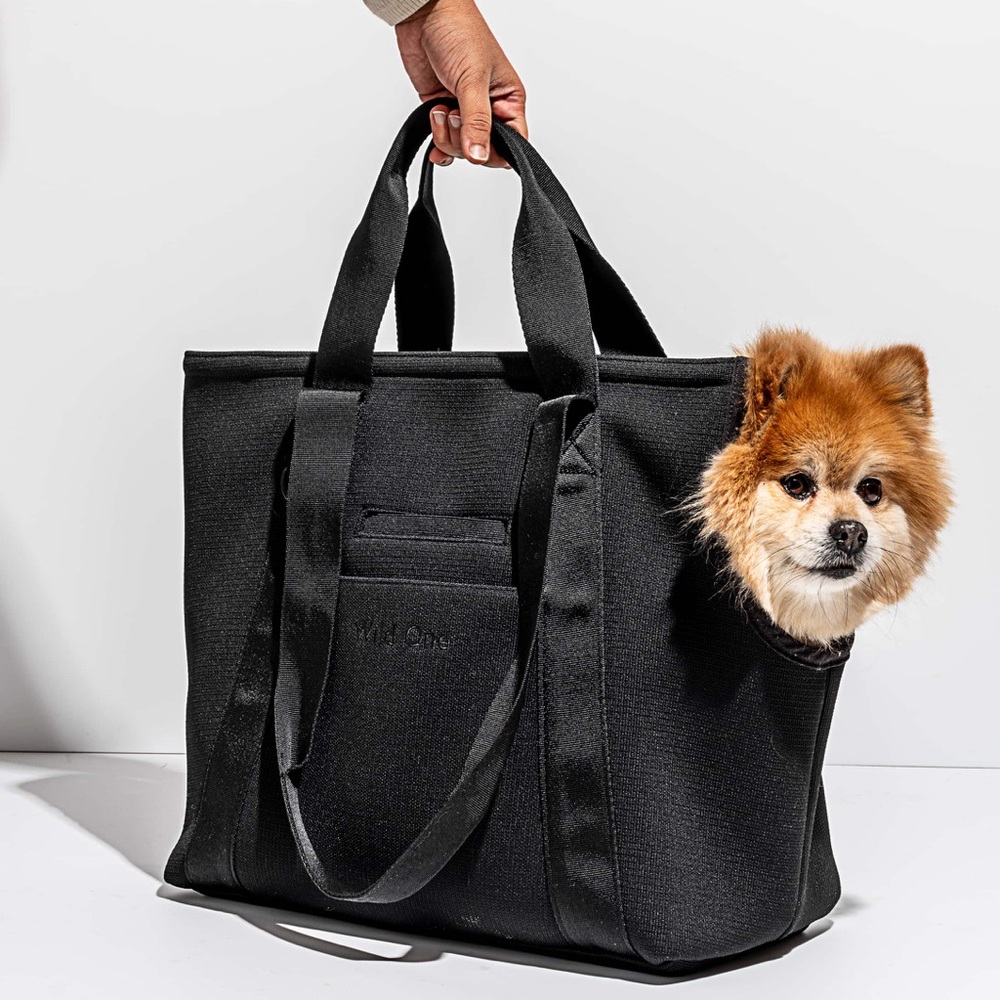 Wild One Everyday Carrier